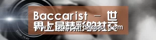 公司动态
