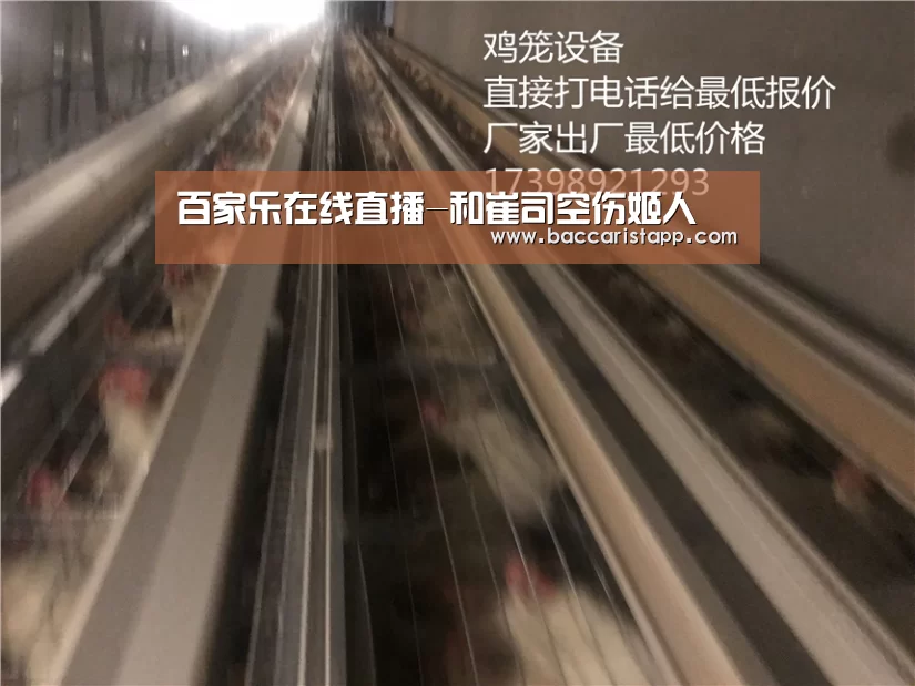 百家乐在线直播-和崔司空伤姬人(图1) 百家乐在线直播