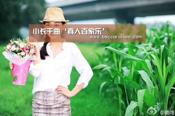百家乐在线官网